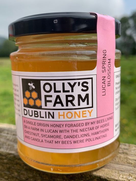 Lucan Spring Blossom Honey