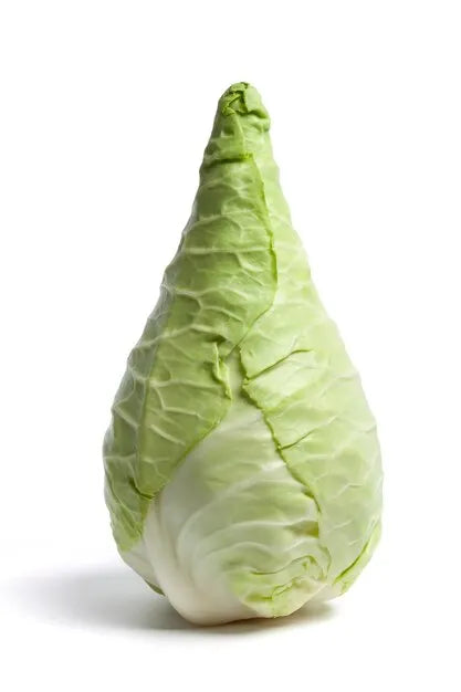 Cabbage (Pointed)