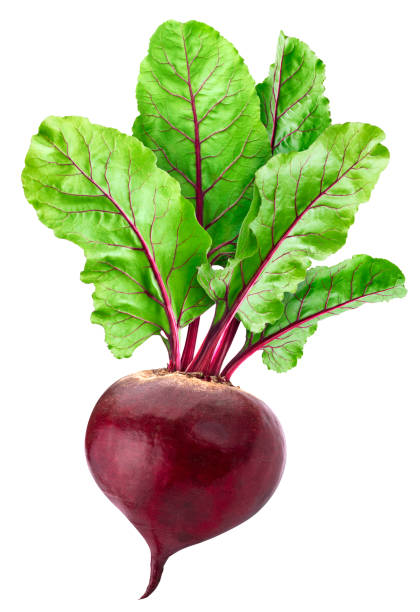 Beetroot Bunch